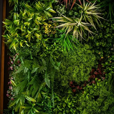 San Gennaro House * Pozzuoli